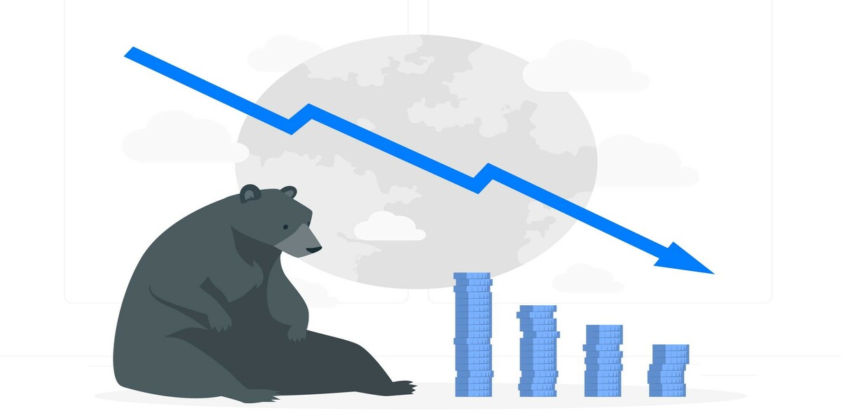 Dealing with Bear Markets